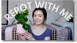 Chatty Repot With Me | Life Update & New Houseplants