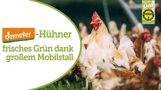 Demeter-Hühnerhaltung im Mobilstall: Welcher Aufwand bedeutet immer frisches Grün?