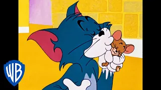 Tom i Jerry po polsku  | Oni mogliby się po prostu przyjaźnić, prawda? | WB Kids