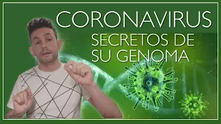 El origen genético del coronavirus