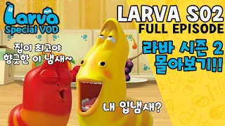 [HOT CLIP] Larva Season 2 FULL VOD I Special Episodes I 라바 시즌 2 에피소드 모음집 I TUBAn Friends Cartoon