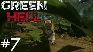 FOOD POISONING, PARASITES JAGUAR ATTACK!!! | Green Hell Gameplay | PC | Part 7