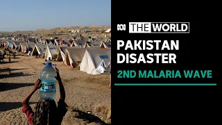 WHO warns of malaria disaster unfolding in flood-ravaged Pakistan | The World