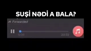 Suşi nədi a bala? 😂 (gülməli telefon danışığı)