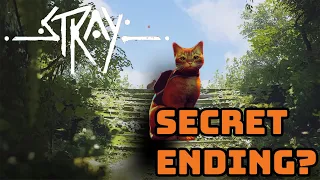 Stray The Finale || Secret Ending?