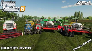 Field grass harvest & silage harvest | Oberkrebach | Multiplayer Farming Simulator 19 | Episode 54