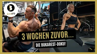 3 WOCHEN DAVOR: Beautys & Beasts in BUKAREST - die DOKU