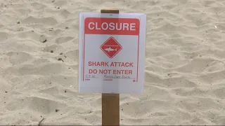 SHARK ATTACK: Santa Cruz Surfer Killed In Fatal Shark Attack