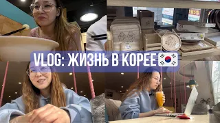 Влог из Кореи | как проходят наши будни | Выходные в Сеуле 🇰🇷