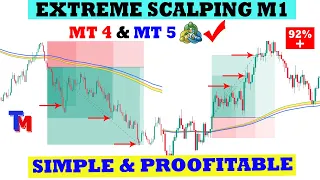 Extreme Scalping Forex 1 Menit