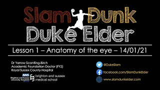 Slam Dunk - Anatomy of eye