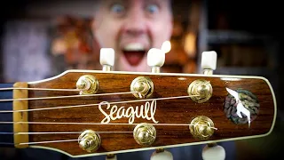 The Hidden Problem with Seagull Guitars...