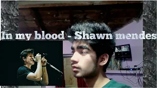 Shawn mendes - in my blood ( cover) no autotune.