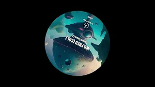 Wilfred ( COL ) - Can You Hear Me ( Original mix ) [ For Groovers Music ]