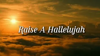 RAISE A HALLELUJAH (Praise and Worship w/ Lyrics)