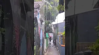 Super Heavy rain and strong lightning in my village | Sleep instantly with the sound of heavy rain