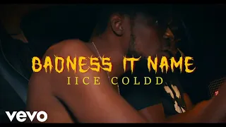 iice coldd - Badness it name (Official Audio)