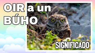 ¿Qué significa cuando OYES un BÚHO?