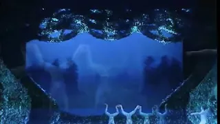 Лягушки "Лебединое озеро"