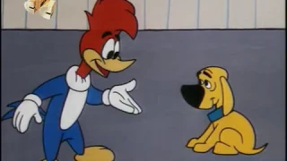 158 Дятел Вуди / Woody Woodpecker — Hot Diggity Dog