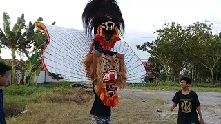 Barongan Blora Naik Reog Ponorogo Bersama Crew MasEko Channel