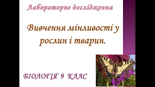 Лабораторне дослідження: Вивчення мінливості у рослин і тварин. /Біологія 9 клас/