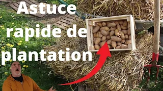 Astuce incroyable rapide pour la plantation des pommes de terre.