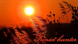 Beautiful sunset with teasels and reeds - 2024/27 (Sunset hunter)