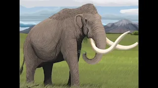 Columbian Mammoth. Sound Effects HD