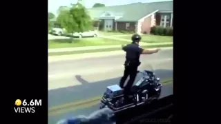 Cool Cop Vines