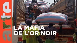 Côte d’Ivoire : haro sur le cacao | ARTE Reportage