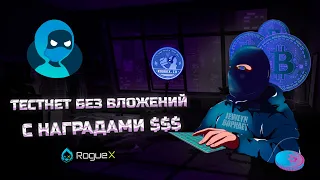 Гайд как получить 100$ без вложений | Тестнет от Roguex