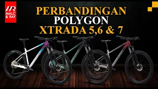 Perbandingan Polygon Xtrada 5, 6 dan 7