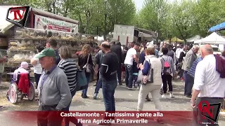 Castellamonte - Tantissima gente alla Fiera Agricola Primaverile