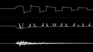 Dane - "Edge of Disgrace (C64)" [Oscilloscope View]