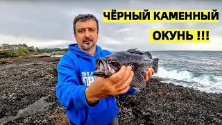 МОРСКОЙ ОКУНЬ. ПРОБУЮ НОВОЕ МЕСТО НА ОКЕАНЕ. РЫБАЛКА В США. BLACK ROCK FISH.