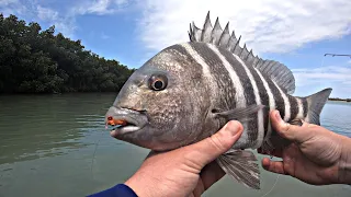 How to Catch Sheepshead in the Winter Time: Fishing Tampa Bay