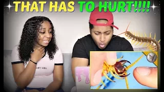 Brave Wilderness "BITTEN by a GIANT DESERT CENTIPEDE!" REACTION!!!