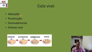 Microbiologia   Aula 03   Ciclo e replicação viral   Vídeo aula