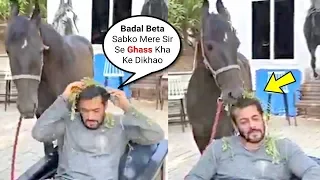 Salman Khan Playing Feeding Game With His Horse At Panvel Farm During Lock Down