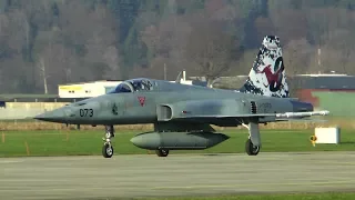 Switzerland Air Force - Military aircraft action at Emmen Air Base [F/A-18 Hornet and F-5E Tiger]