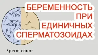 Беременность при единичных сперматозоидах / Доктор Черепанов