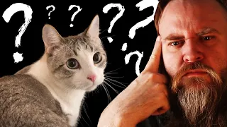 TJ claims to be a "Cat Expert", Let's Find Out.