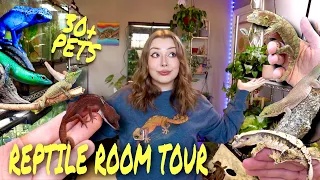 Tour Of My Incredible REPTILE ROOM!