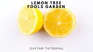 Lemon Tree - Fools Garden (Guitar Tutorial) Easy Chords