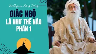 Giác Ngộ Là Như Thế Nào - Phần I | Sadhguru Lồng Tiếng #150