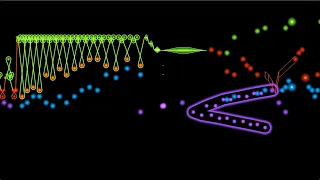 Bach, "The Wedge" (animated score for Prelude and Fugue in E minor, BWV 548)