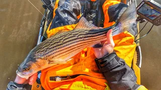 Early Spring Striper Fishing Tips & Tactics