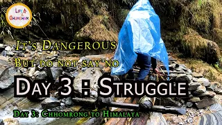 ABC Trek ||  It's dangerous but do not say no  || Chhomrong to Himalaya || #abctrek, Day 3