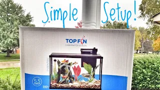 How to Set Up a 5 Gallon Aquarium! Easy!